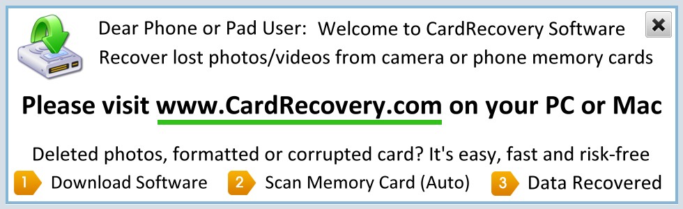 card recovery 6.10 registration key evaluation version