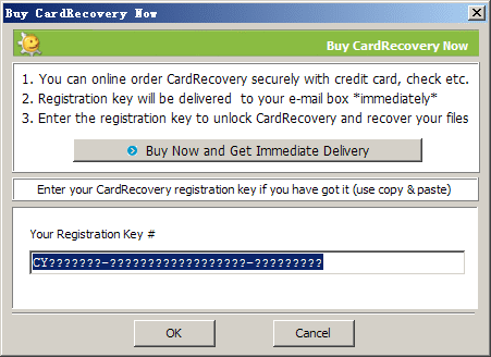 Card Recovery 6.10 Serial Key