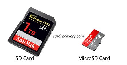 SD Card and MicroSD Card