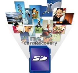 SD Card Recovery